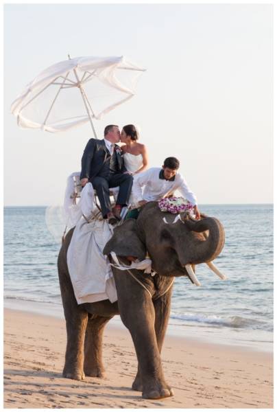 Koh Lanta wedding photography elephant