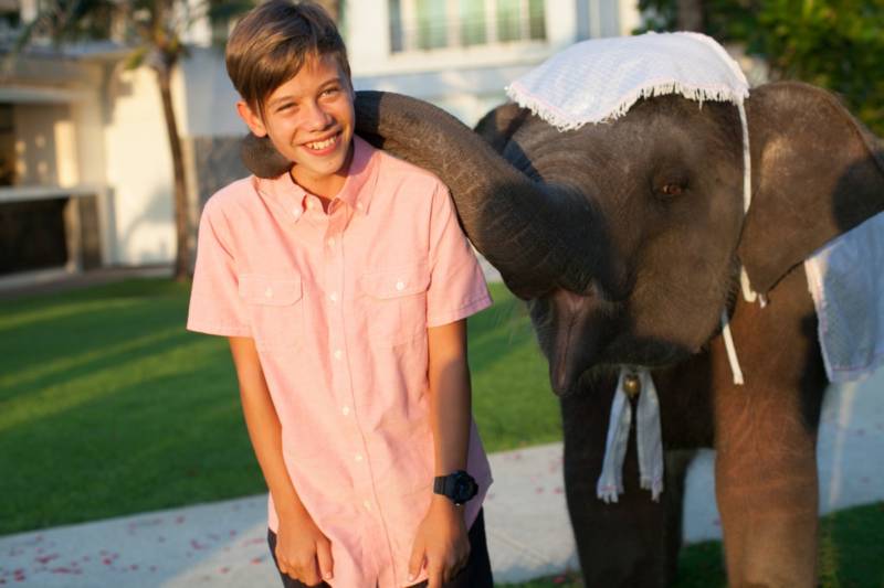 Phuket wedding elephant