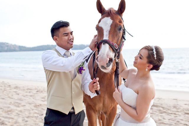 wedding phuket horse