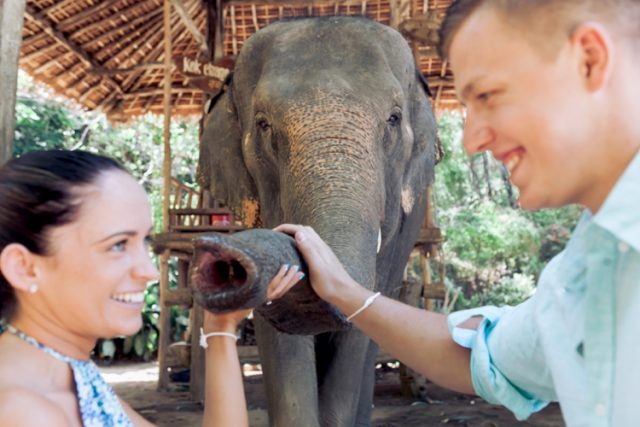 Phuket elephant safari
