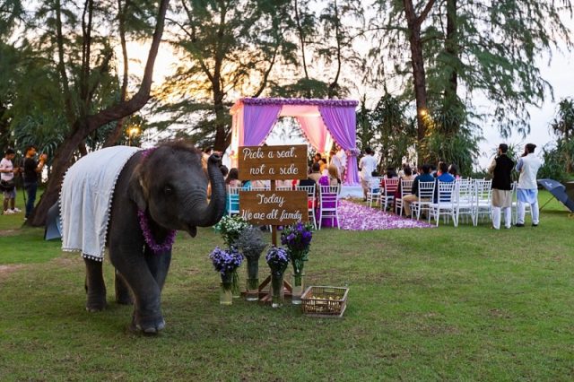 Phuket Indian wedding