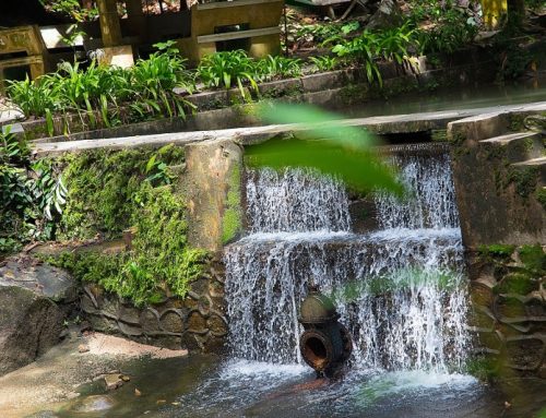 Kathu Waterfall morning hike